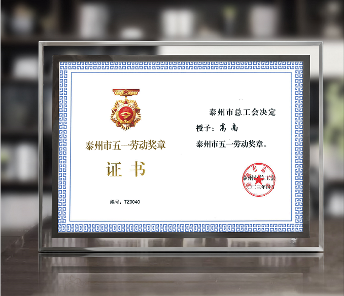 冰球突破豪华版董事长高南先生荣获泰州市“五一”劳动奖章