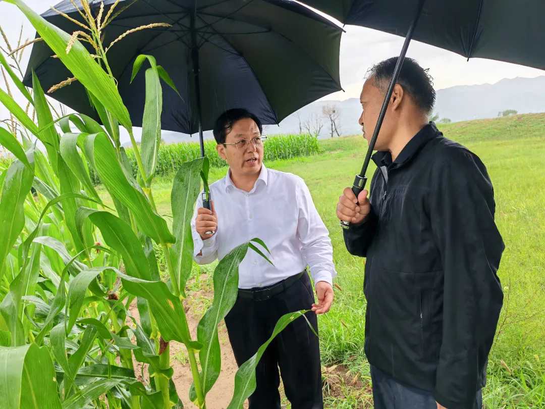 冰球突破