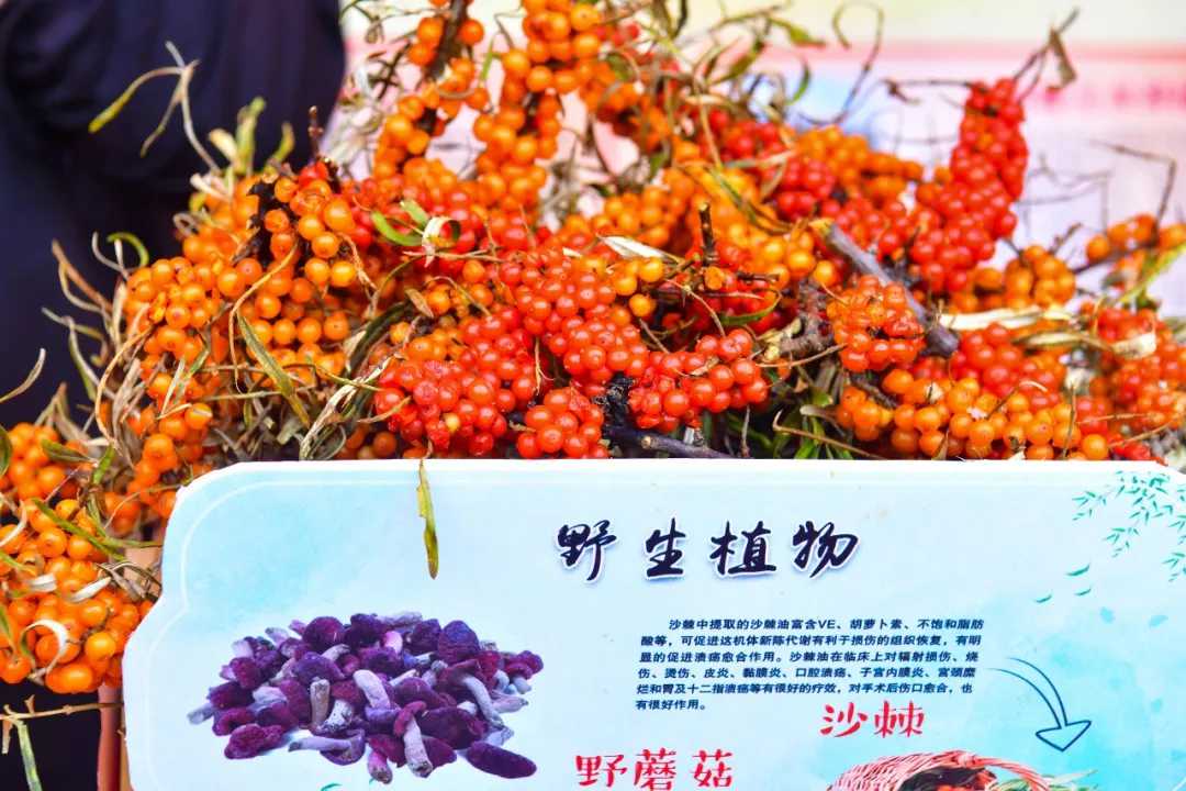 冰球突破