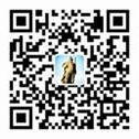 冰球突破